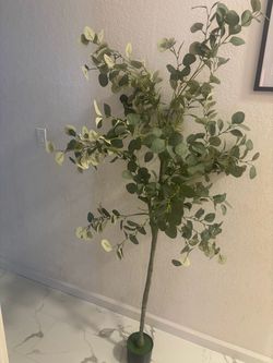 eucalyptus artificial tree