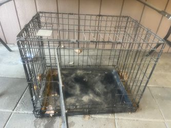 Dog Kennel