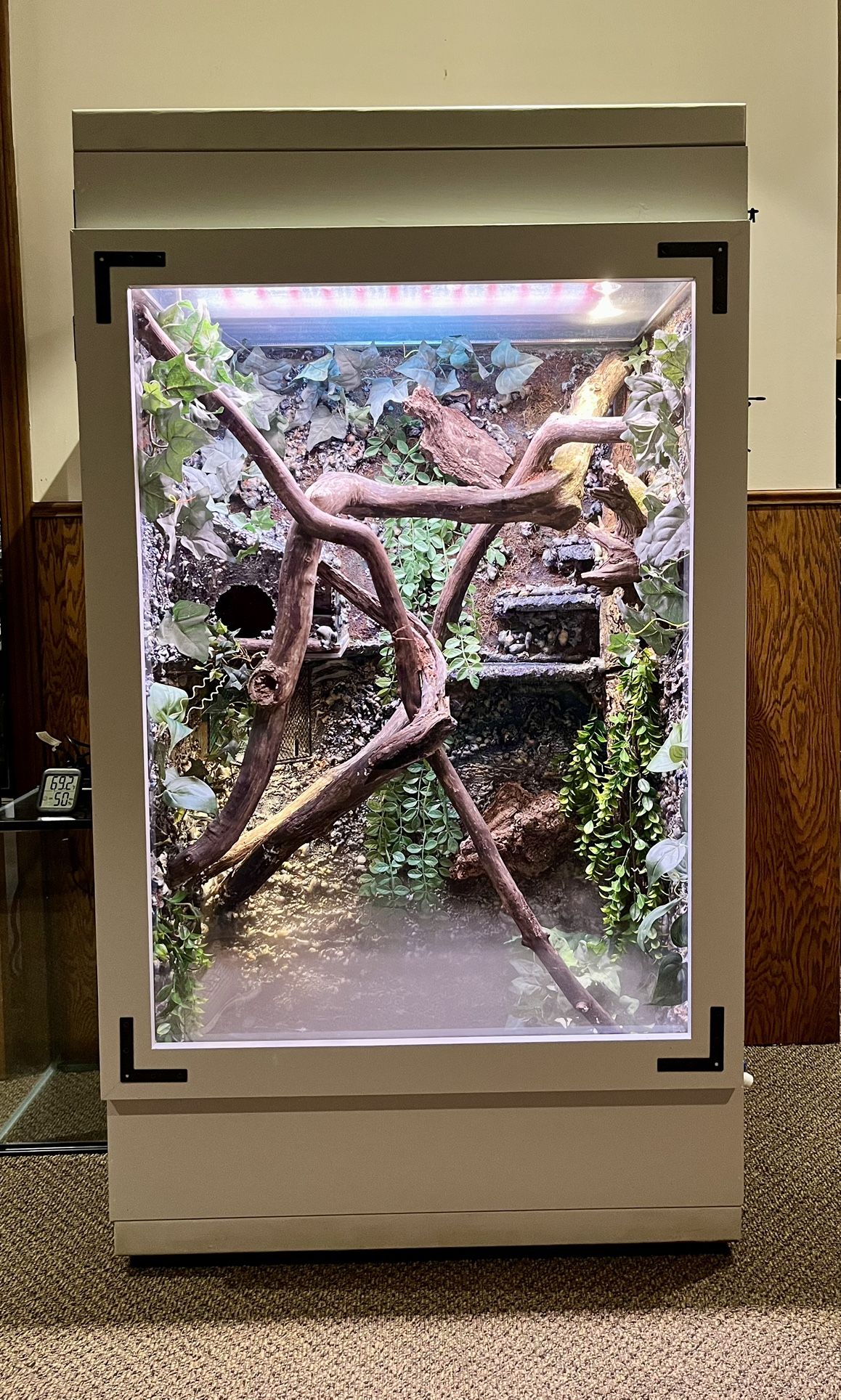 Custom Affordable Large Indoor Enclosures Reference: Large Custom Reptile Enclosure For Sale In Homer Glen Il