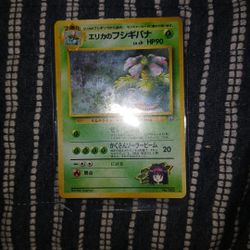 Erica venusor Japanese 