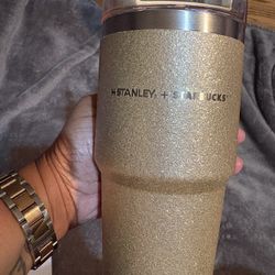 20oz Starbucks Korea And Stanley Quencher 