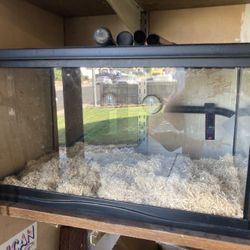 10 Gallon Terrariums 