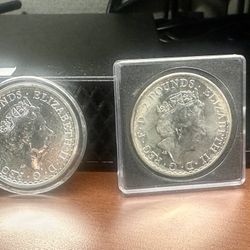 (2) 1 Oz. Silver Rounds