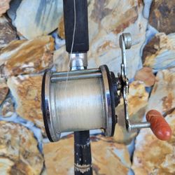 Senator Penn 65 Long Beach Fishing Tackle, Fishing Rods, Fishing Pole