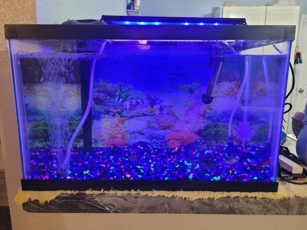 Fish Tank 10gallon