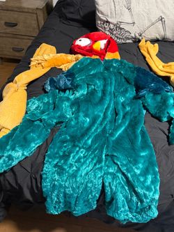 Moana Hei Hei Costume