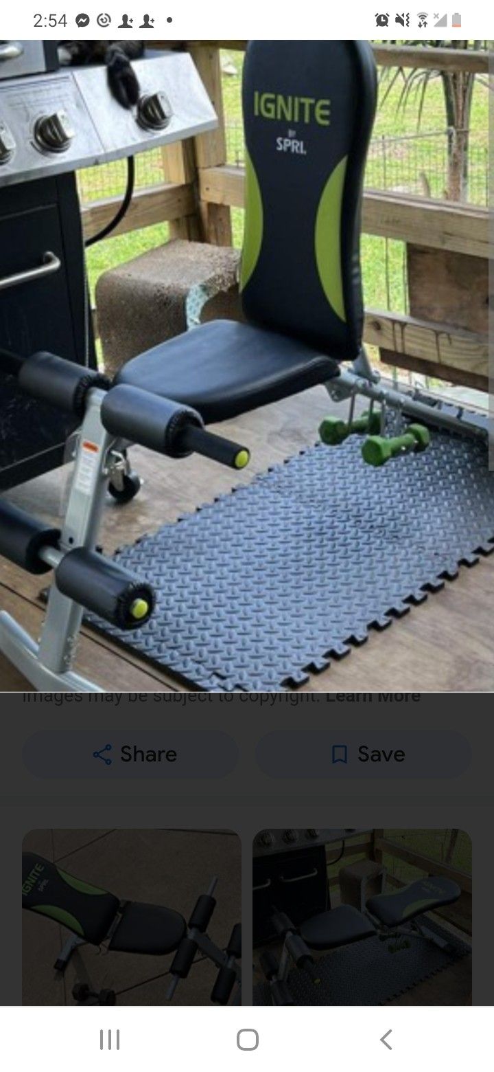Ignite Fitness Bench