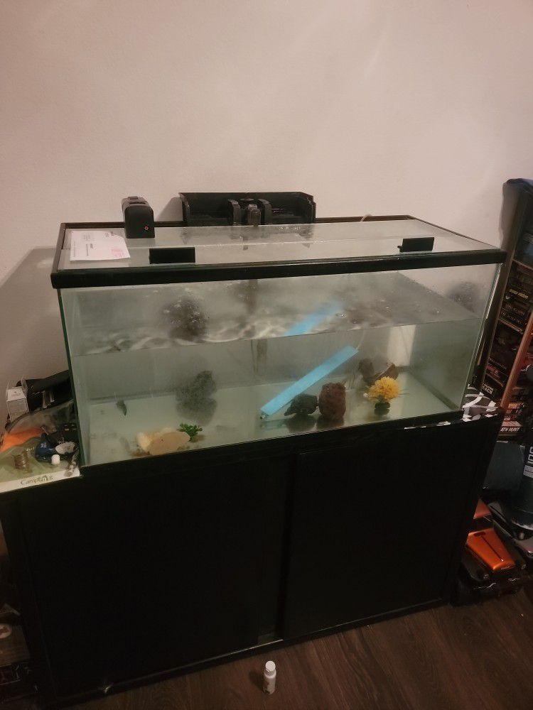 40 Gallon Fish Tank