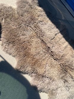 Sheepskin rugs