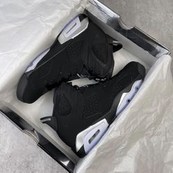 Jordan 6 Metallic Silver