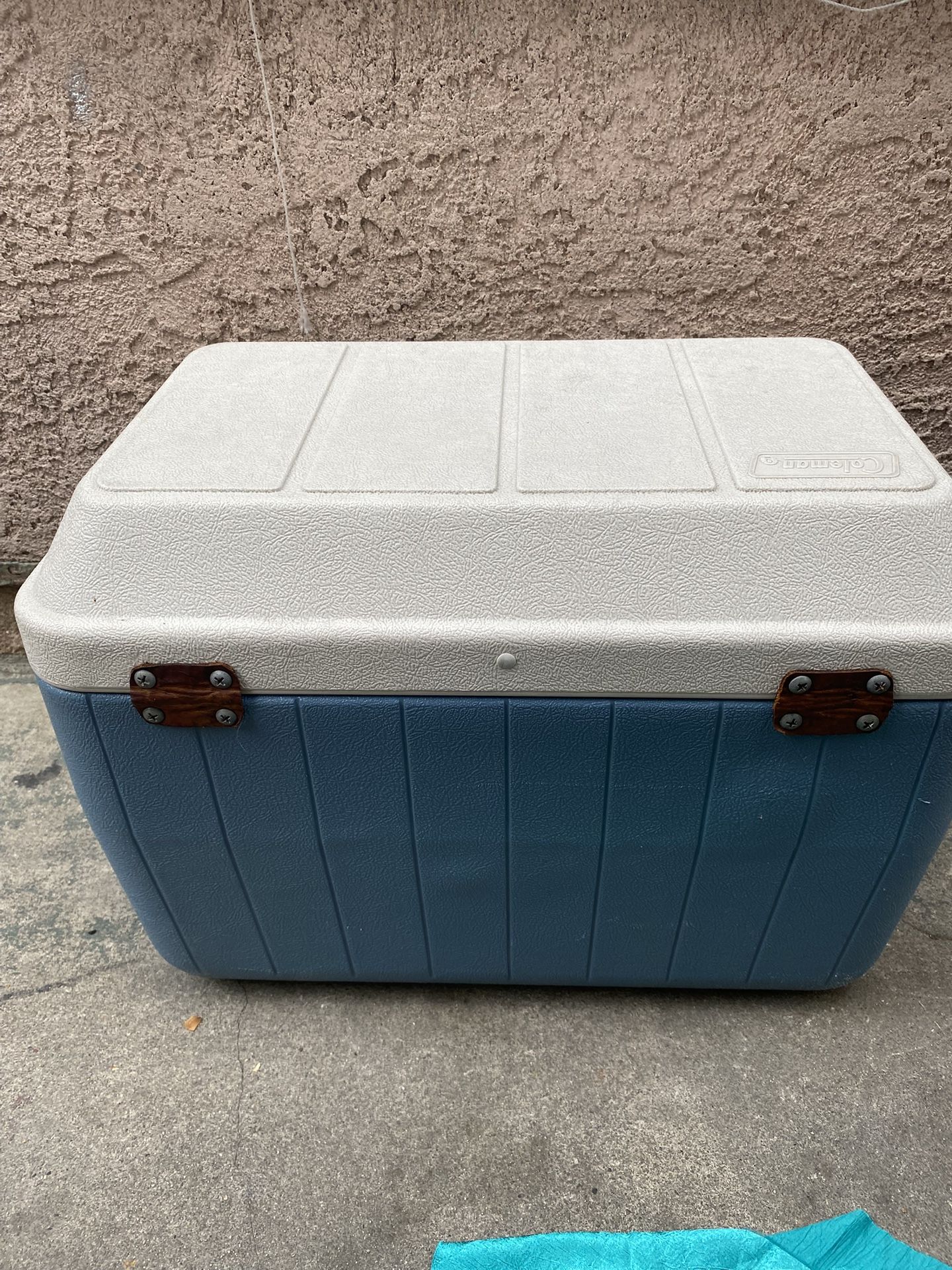 Pet Cooler