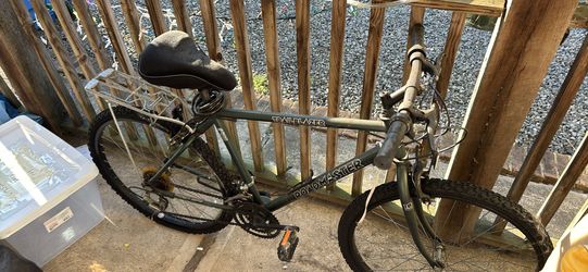 Mountain bike comes with pump and horn