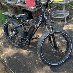 Rad Rover E Bike