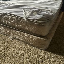 Free Box Spring And Mattress