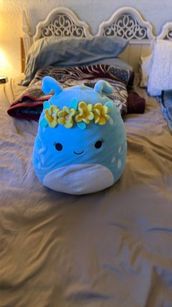 Squish mellow