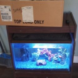 Fish Tank Aquarium With Stand And Accessories