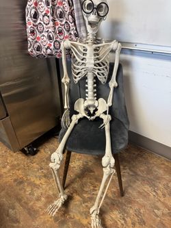 5’5 ish Skeleton