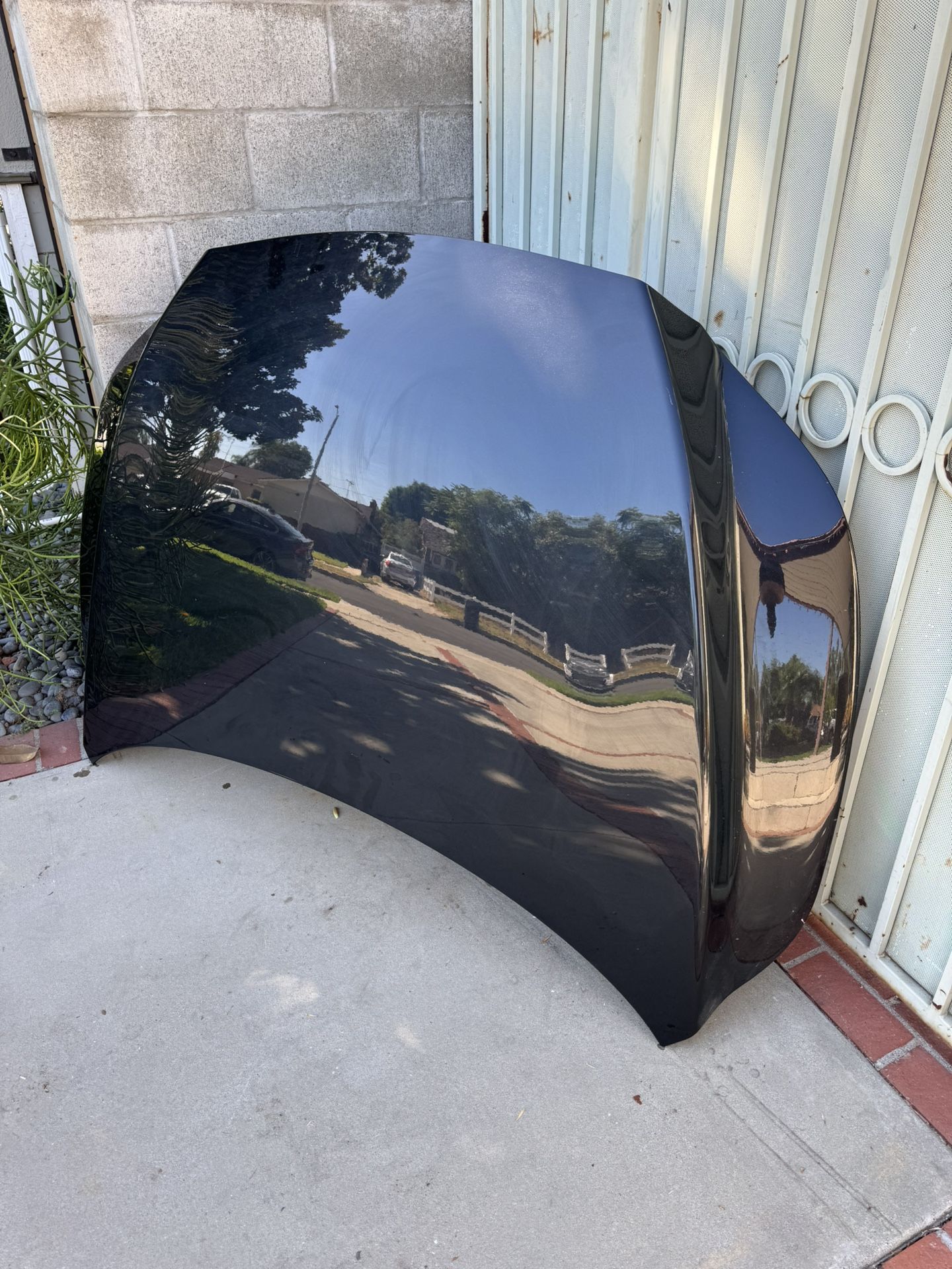 Lexus Hood OEM Genuine