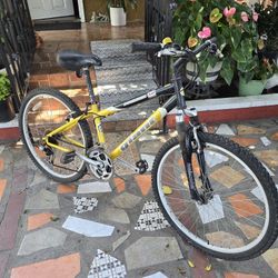 Giant Boulder Mountain Bike 21-Speed 