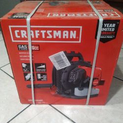 Craftsman 46-cc 2-cycle Gas Backpack Leaf Blower