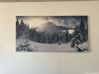 Stunning Winter Scene/ Mountain & Pines Wall Art