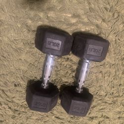 20lb Dumbbells 