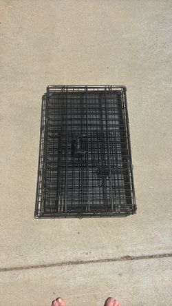 Collapsible Dog Crate