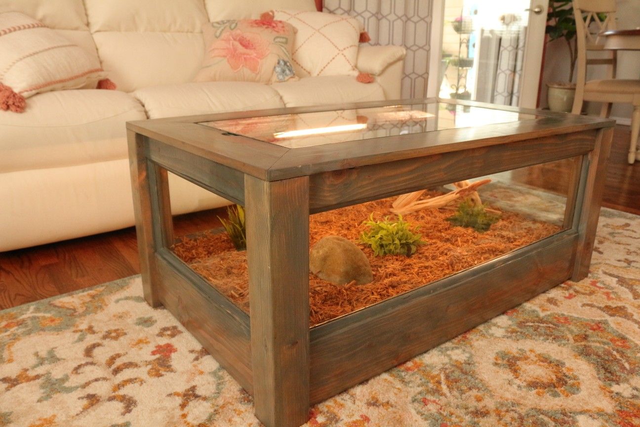 Terrarium Coffee Table Displays