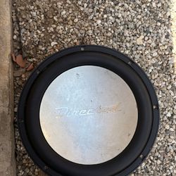Directed SX 12" Subwoofer - Deep Bass, Serious Power
