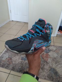 Lebron James Sz 11 Shoe