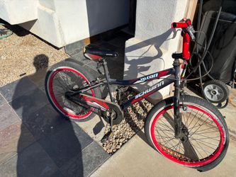 Schwinn falcon kids bike
