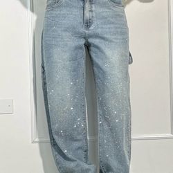  Carpenter Shine Denim Jeans