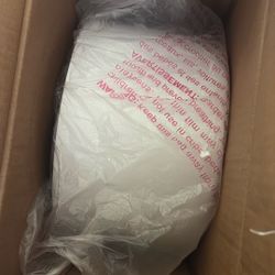 Light White And Gold 