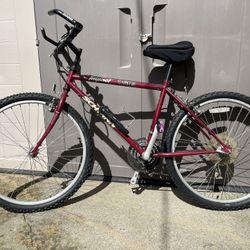 Schwinn Impact Vintage Bicycle 