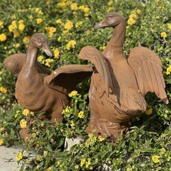 Duck Rusty  Heavy Metal 