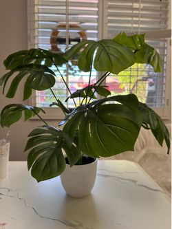 Artifical plant for decoration