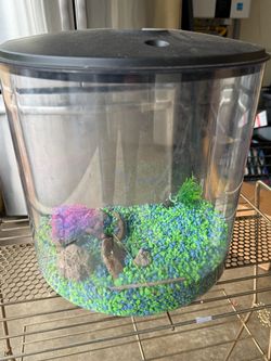 Small aquarium/terrarium