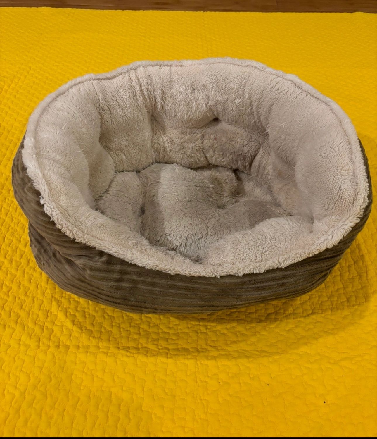 Khaki and White Dog Bed
