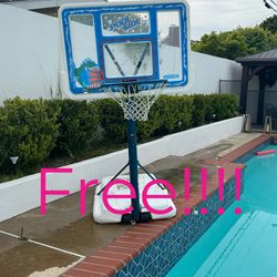 Free Pool Basketball Hoop