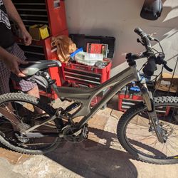 Specialize Enduro Pro Mountain Bike