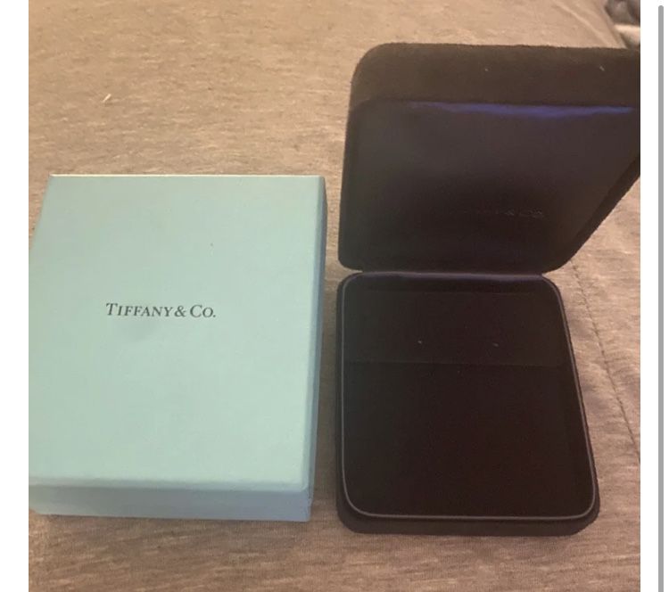 Tiffany & Co earnings Storage Presentation Black Suede Box and Blue Gift Box