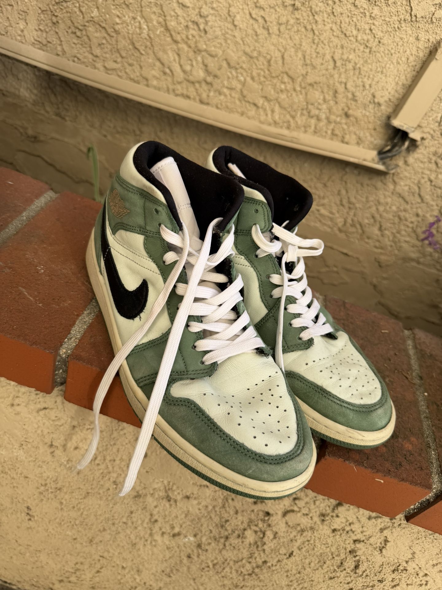 Bike Air Jordan Shoes Size 10