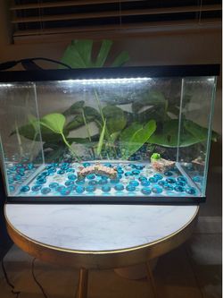Small fish thank
