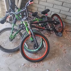 bikes 