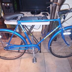 Bike Schwinn Collegiate