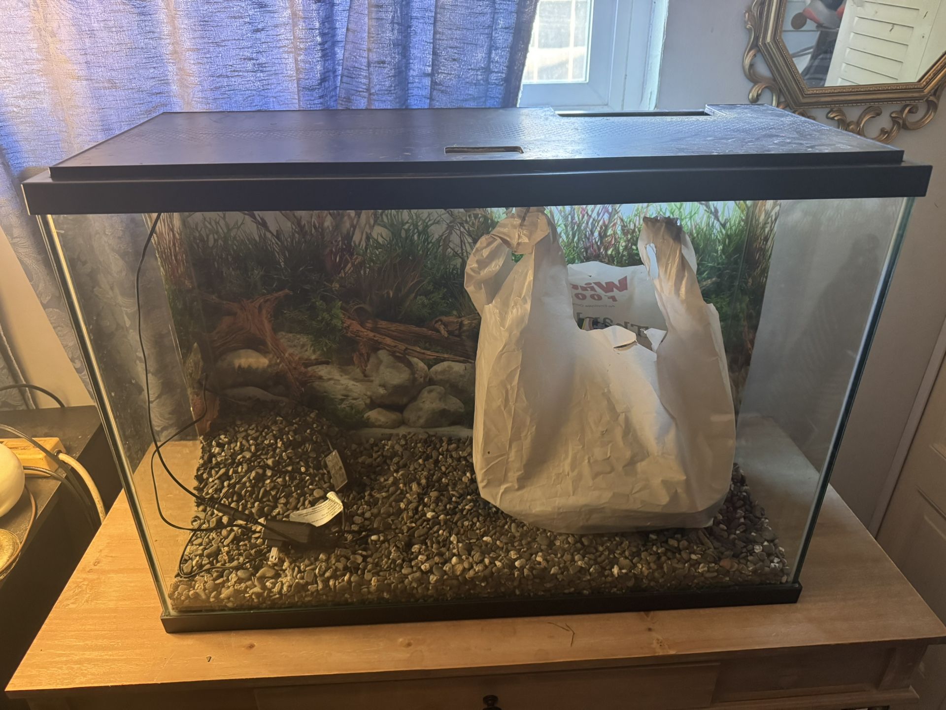 30 Gallon Tank