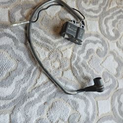 30 $ bobina para echo blwer 580