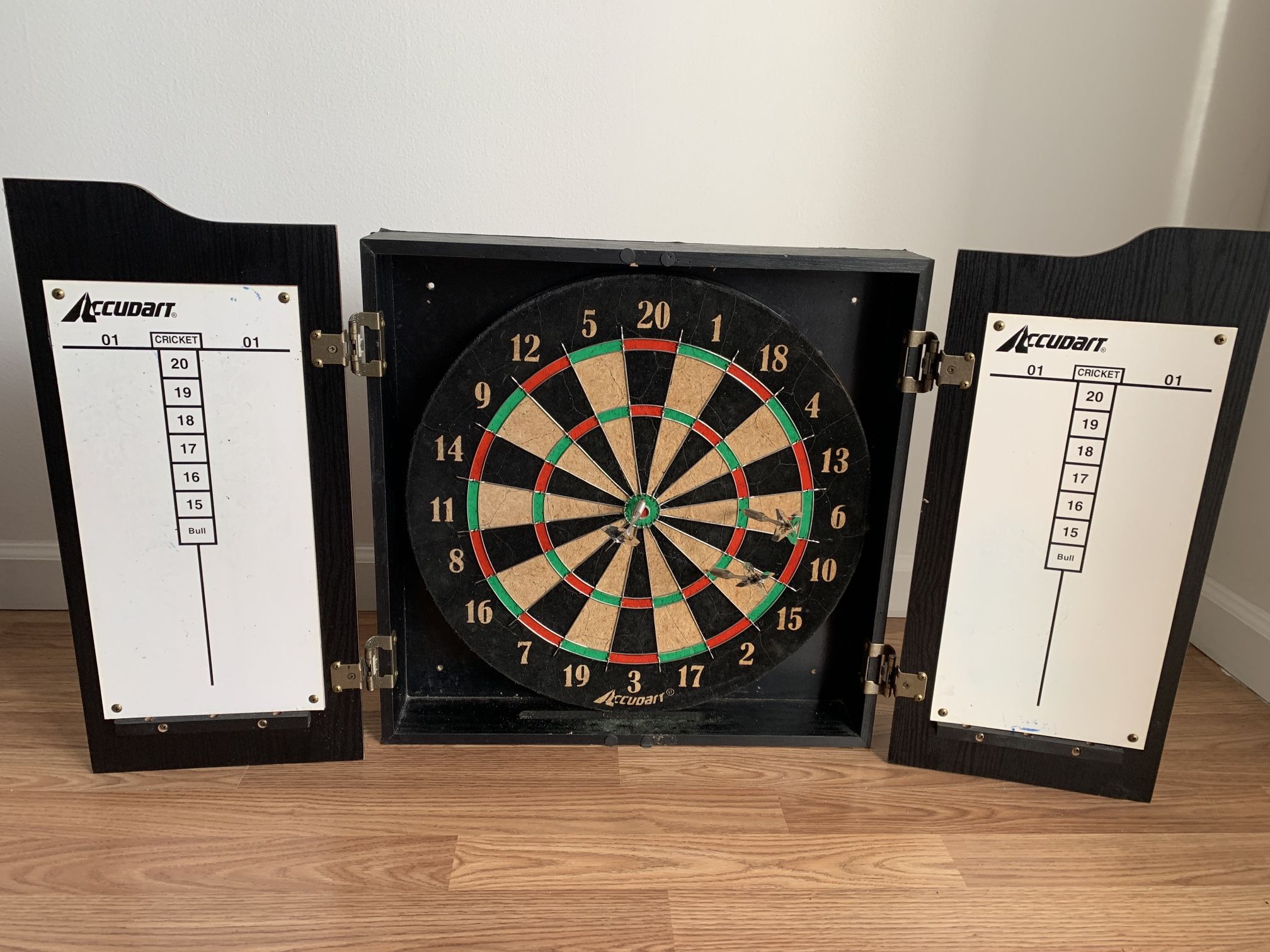 Professional Dartboard and Cabinet