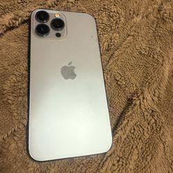 iPhone 13  Pro Max