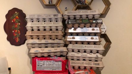 Egg Cartons